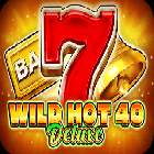 betconnection_WildHot40Deluxe