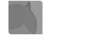 bdt